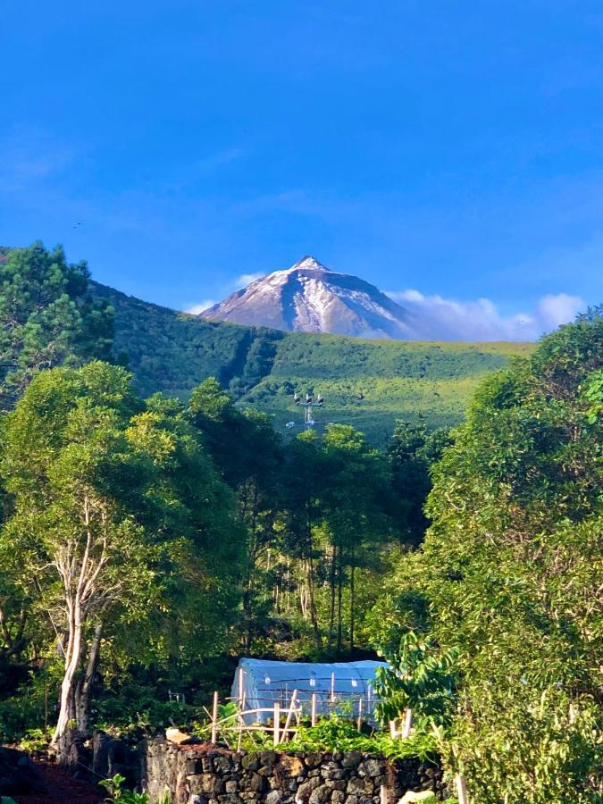 Quinta Pereirinha Farm - A Private 3 Bedroom Vacation Home, Close To Hiking W Ocean Views - Pico Island, Azores São Roque do Pico Extérieur photo