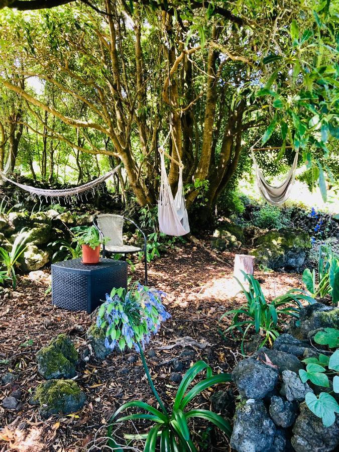 Quinta Pereirinha Farm - A Private 3 Bedroom Vacation Home, Close To Hiking W Ocean Views - Pico Island, Azores São Roque do Pico Extérieur photo