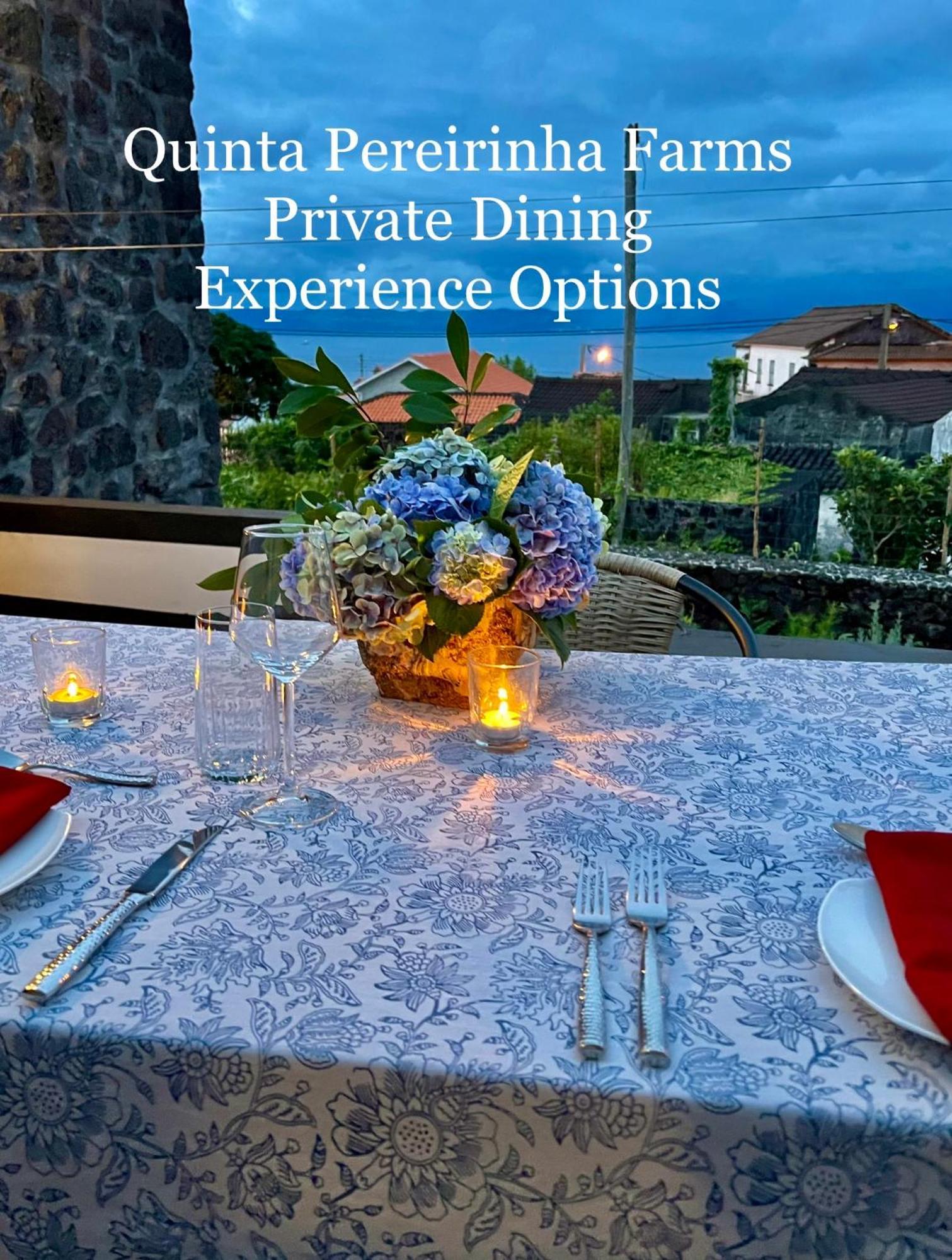 Quinta Pereirinha Farm - A Private 3 Bedroom Vacation Home, Close To Hiking W Ocean Views - Pico Island, Azores São Roque do Pico Extérieur photo